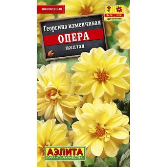  Георгина Опера желтая цв Аэлита