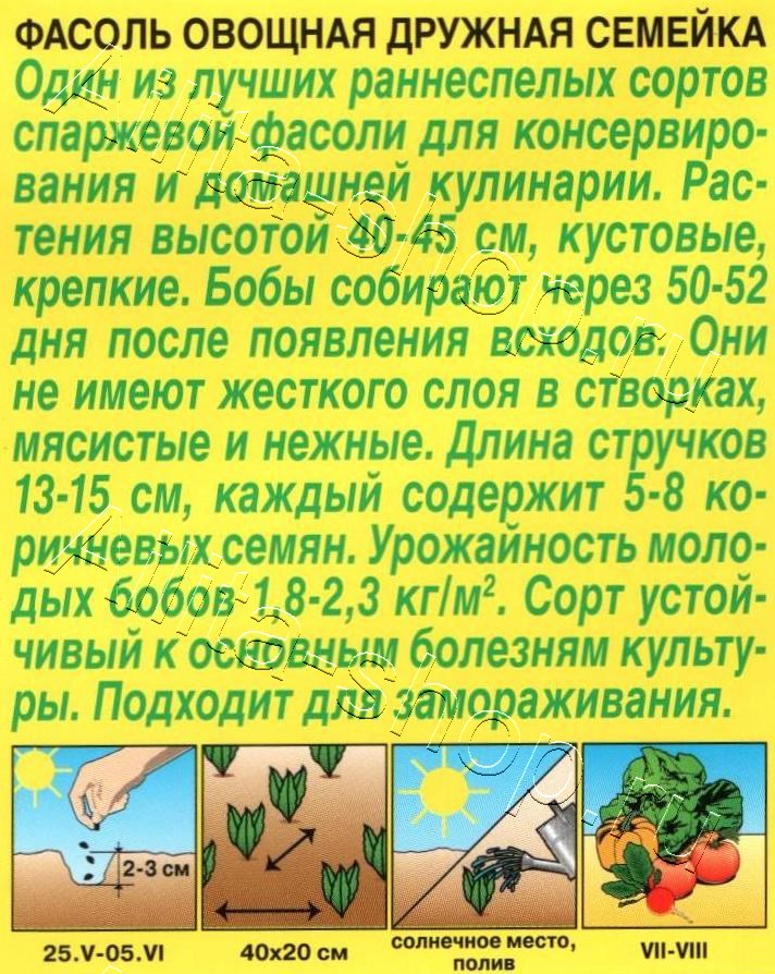  Фасоль овощная Дружная семейка цв Аэлита