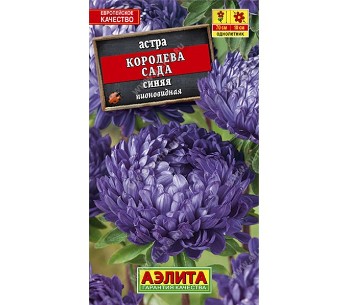  Астра Королева сада синяя цв Аэлита