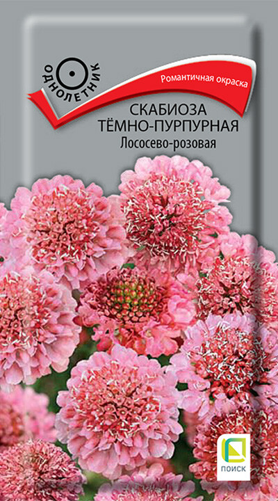  Скабиоза темно-пурпурн Лососево-розов 0,2г цв Поиск