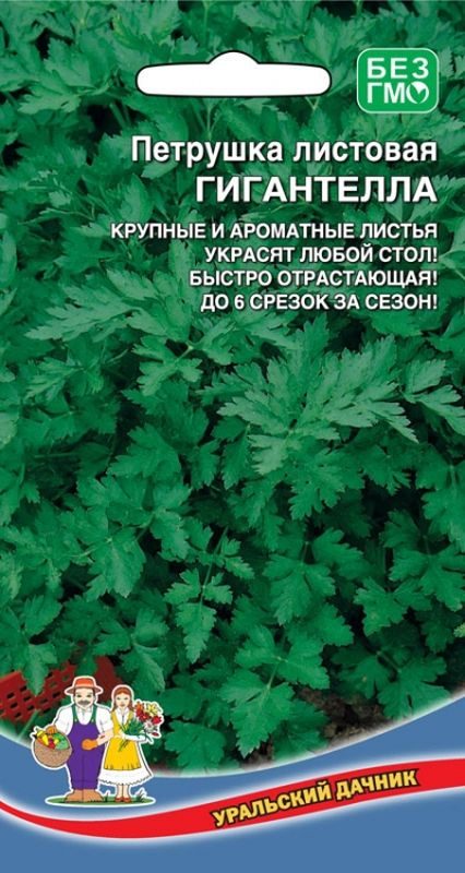  Петрушка листовая Гигантелла цв Урал.Дачник