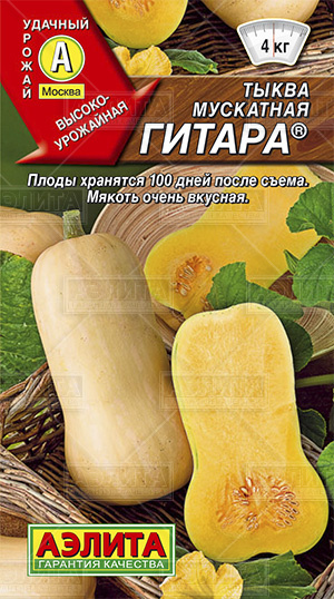  Тыква мускатная Гитара цв Аэлита