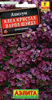  Алиссум Клеа кристал парпл шэйдз цв. Аэлита