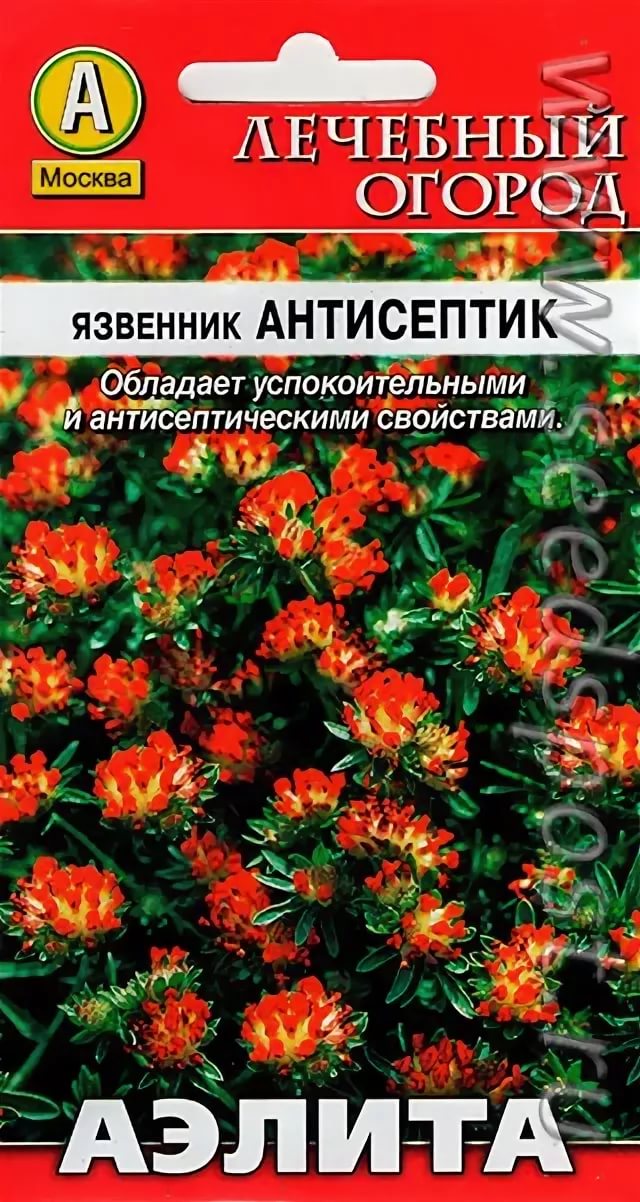  Язвенник Антисептик цв.Аэлита