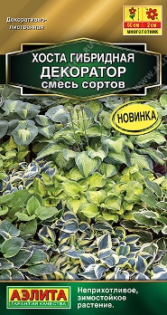  Хоста Декоратор смесь 5шт цв Аэлита
