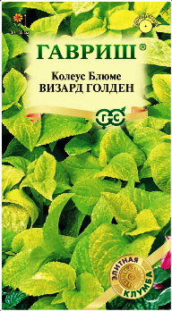  Колеус Визард Голден 4шт цв Элитная клумба Гавриш