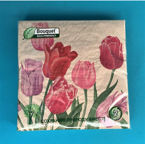  Салфетки бумажн. Bouquet Eco-friendly 2-х сл 25шт Крафт Тюльпаны 57067