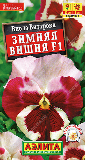  Виола Виттрока Зимняя вишня F1 цв.Аэлита