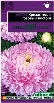 Астра Хризантелла Розовый восторг хризантемовидная 0,05г цв Гавриш