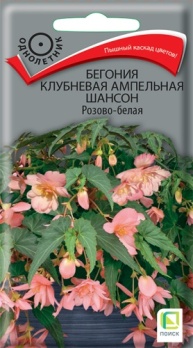  Бегония клубнев ампельн Шансон Розово-белая 10шт цв Поиск