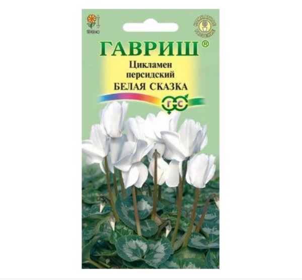  Цикламен Белая сказка персидский 3шт цв Гавриш