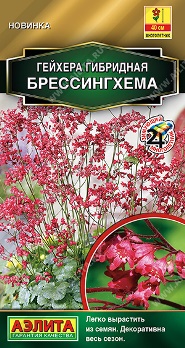  Гейхера гибридная Брессингхема цв Аэлита
