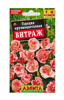  Годеция Витраж крупноцветковая цв Аэлита