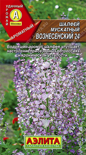  Шалфей мускатный Вознесенский 24 цв. Аэлита