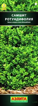  Самшит вечнозеленый цв Аэлита