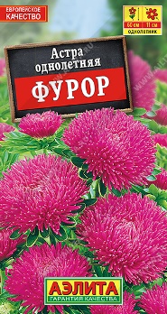  Астра Фурор шаровидно-игольчатая цв Аэлита