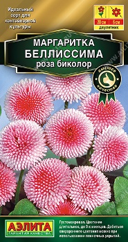 Маргаритка Беллиссима роза биколор 7шт цв Аэлита