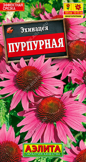  Эхинацея (Рудбекия) пурпурная  цв Аэлита