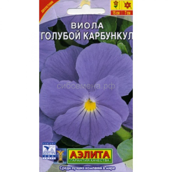  Виола Виттрока Зимняя вишня F1 цв.Аэлита