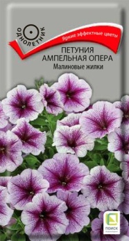  Петуния ампельн Опера Малиновые жилки 5шт цв Поиск