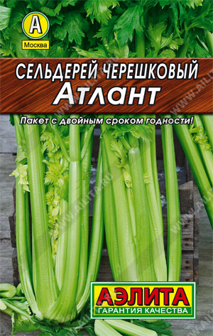  Сельдерей черешковый Атлант цв Аэлита (лидер)