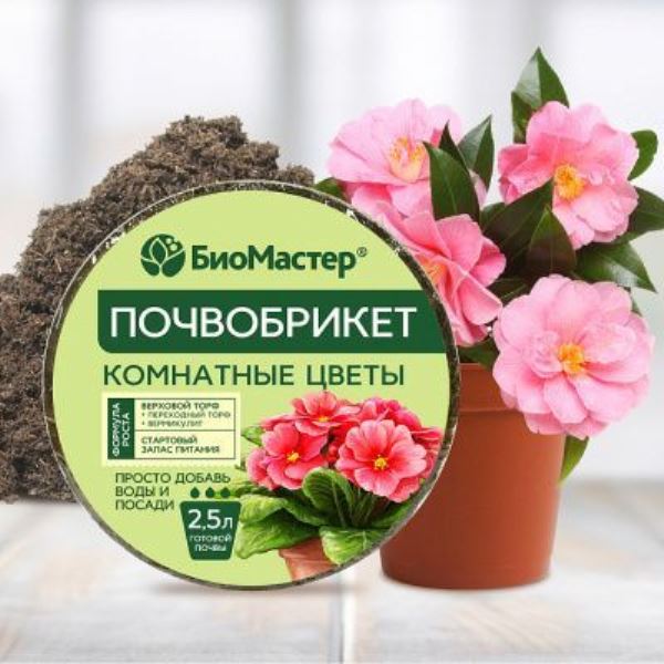  Почвобрикет 2,5л Комнатные цветы круглый (33) БиоМастер