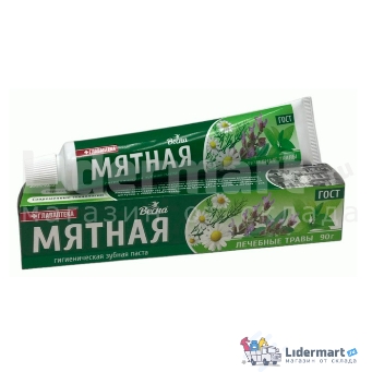  Паста зубная Весна 90г Мятная Лечебные травы 8116