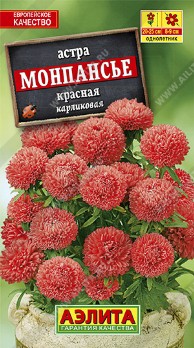  Астра Монпансье красная цв Аэлита