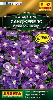  Катарантус Санджевелс блуберри шейдс 7шт цв Аэлита