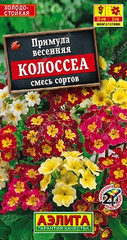  Примула Колоссеа смесь цв Аэлита