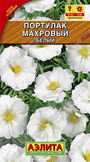  Портулак махровый белый смесь цв Аэлита