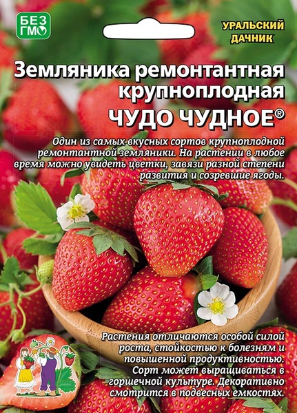  Земляника ремонтантная Чудо чудное Урал.Дачник б/ф