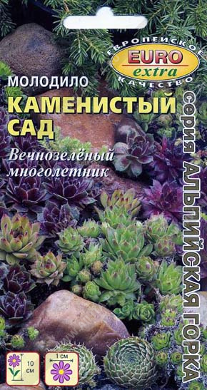  Молодило Каменистый сад смесь цв. Аэлита