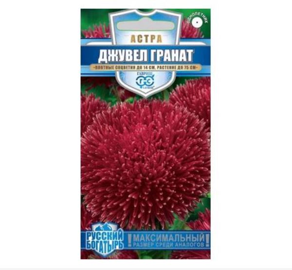 Астра Джувел Гранат однолетняя игольчато-коготковая 0,05г цв Эксклюзив Гавриш