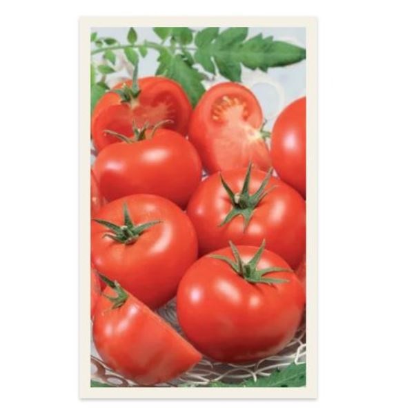  Томат непасынкующийся балконный цв Урал.Дачник