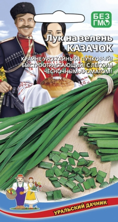  Лук на зелень Казачок Урал.Дачник