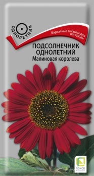  Подсолнечник декорат Малиновая королева 0,5г цв Поиск