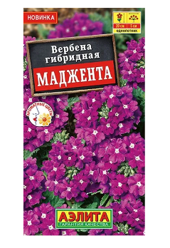  Вербена гибридная Маджента цв Аэлита