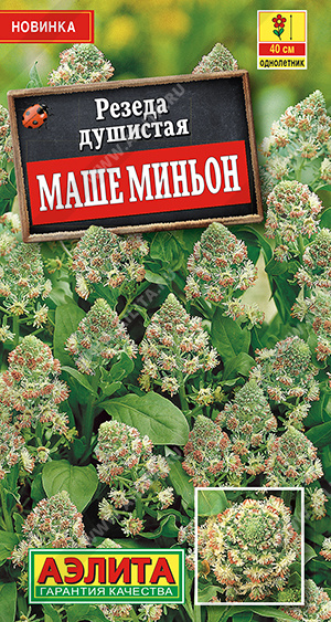  Резеда душистая Маше миньон цв Аэлита