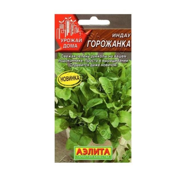  Рукола (Индау) горожанка цв Аэлита