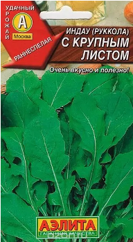  Руккола (Индау) с крупным листом 0,3г цв Аэлита 