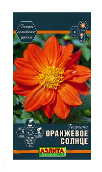  Георгина Оранжевое солнце цв Аэлита