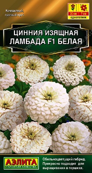  Цинния Ламбада F1 белая цв Аэлита