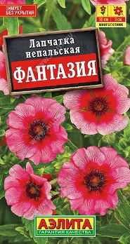  Лапчатка непальская Фантазия цв Аэлита