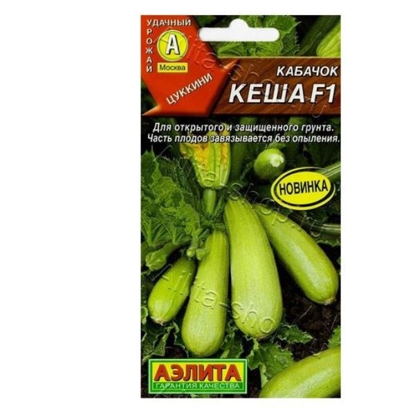  Кабачок цуккини Львенок F1 5шт цв Аэлита