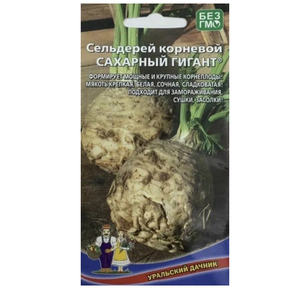  Сельдерей корневой Сахарный гигант цв Уральский Дачник