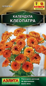  Календула Клеопатра цв Аэлита