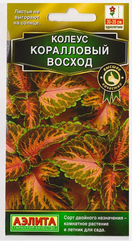  Колеус блюме Коралловый восход цв Аэлита