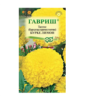  Бархатцы Бурке Лимон прям. 0,3г цв Гавриш