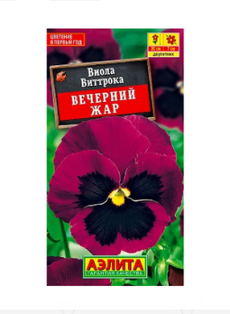  Виола Виттрока Вечерний жар цв Аэлита